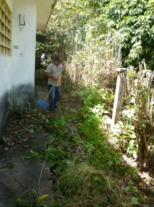 El Sr. Gerardo limpiando pequeño antiguo jardín de la casa, el cual estaba lleno de maleza