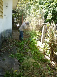 El Sr. Gerardo limpiando pequeño antiguo jardín de la casa, el cual estaba lleno de maleza